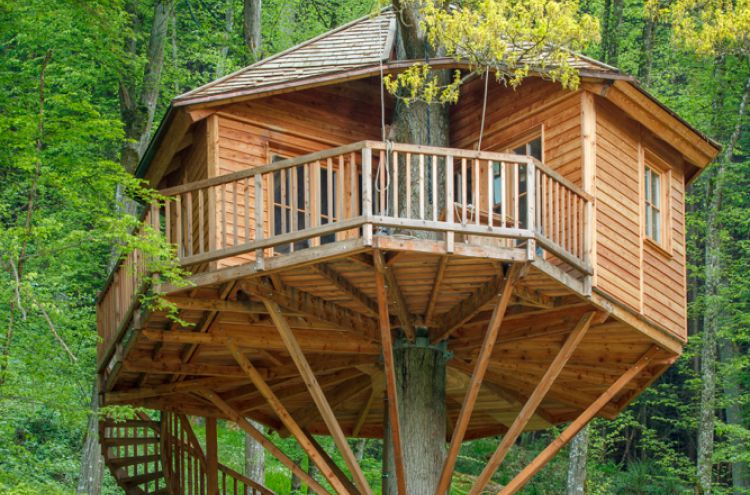 Tip: Boomhut XXL - Bijzonder Plekje