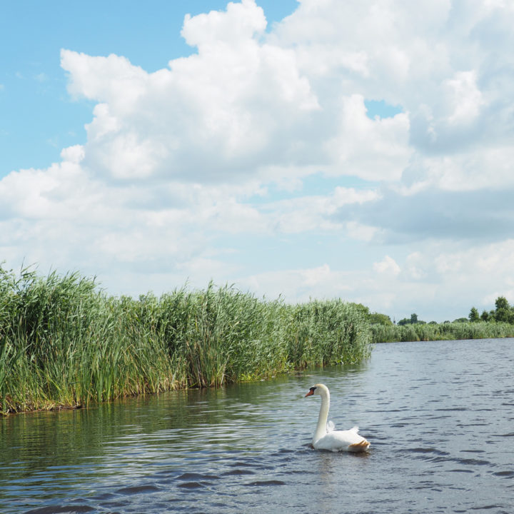Holland Waterland.
