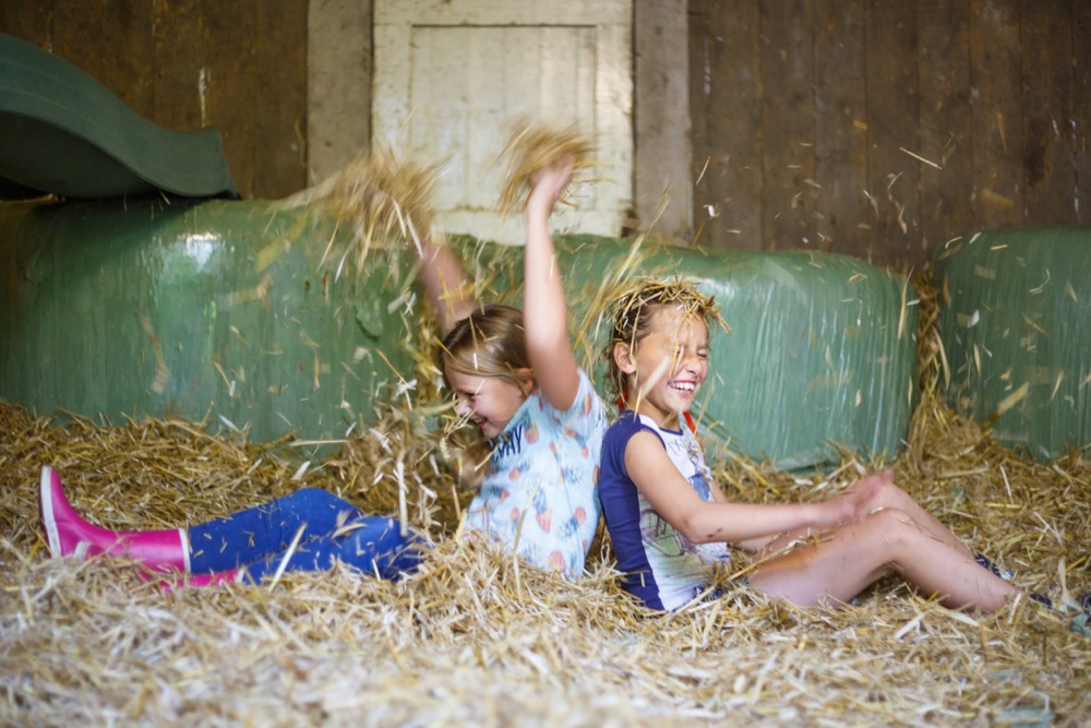 Logeren bij de boer vakantie op de boerderij Bijzonder Plekje