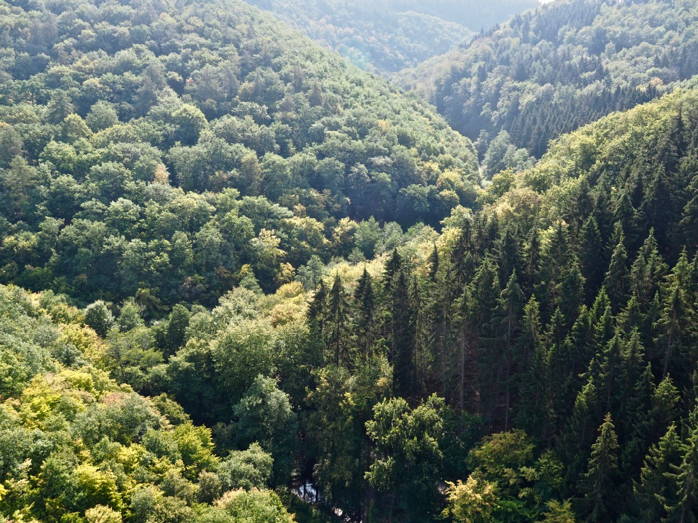 Duitsland: 6 hoogtepunten in de Moezelvallei | Bijzonder Plekje