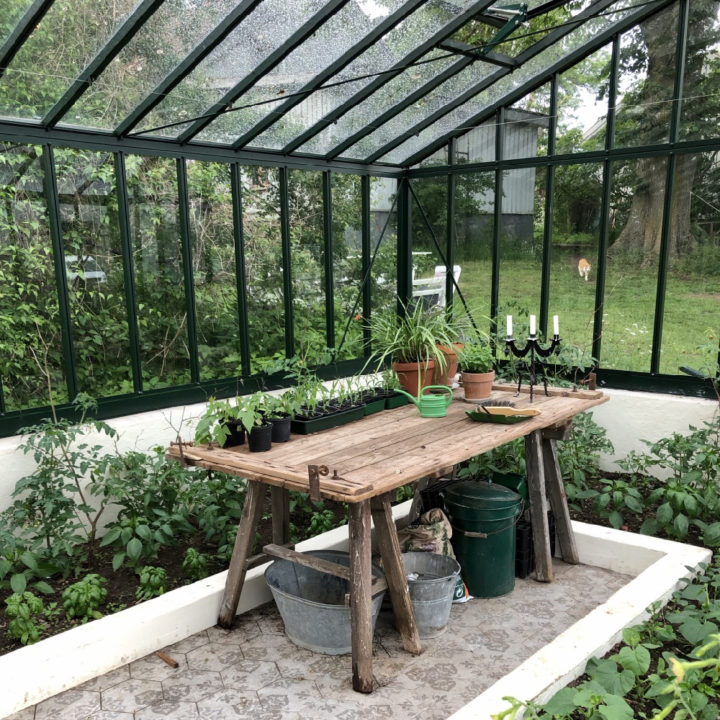 Kas met houten tafel met kasplantjes en een kandelaar