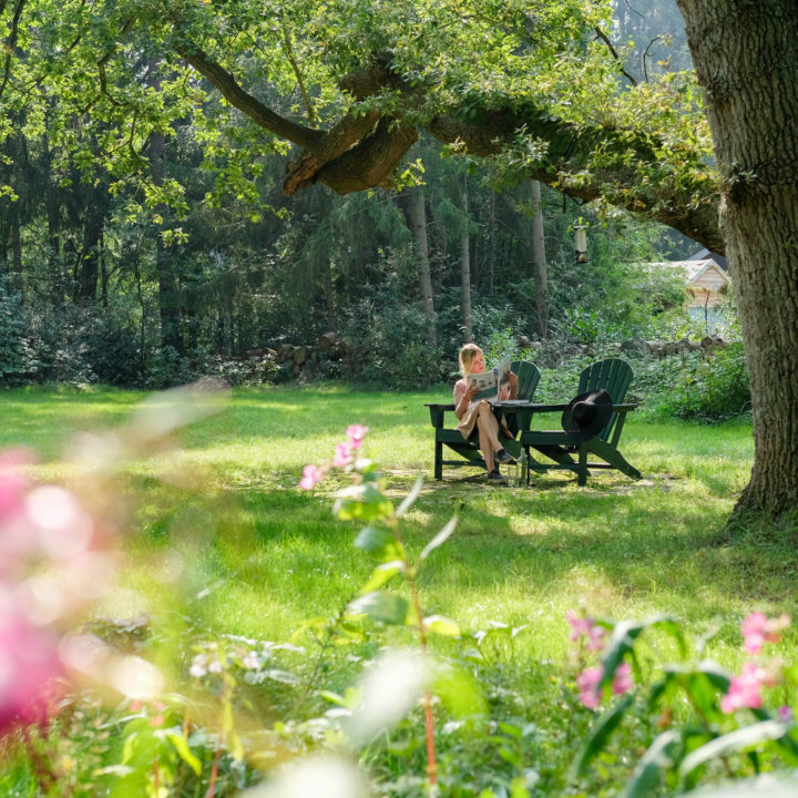 Luie stoelen in het gras van het vakantiehuis in het bos