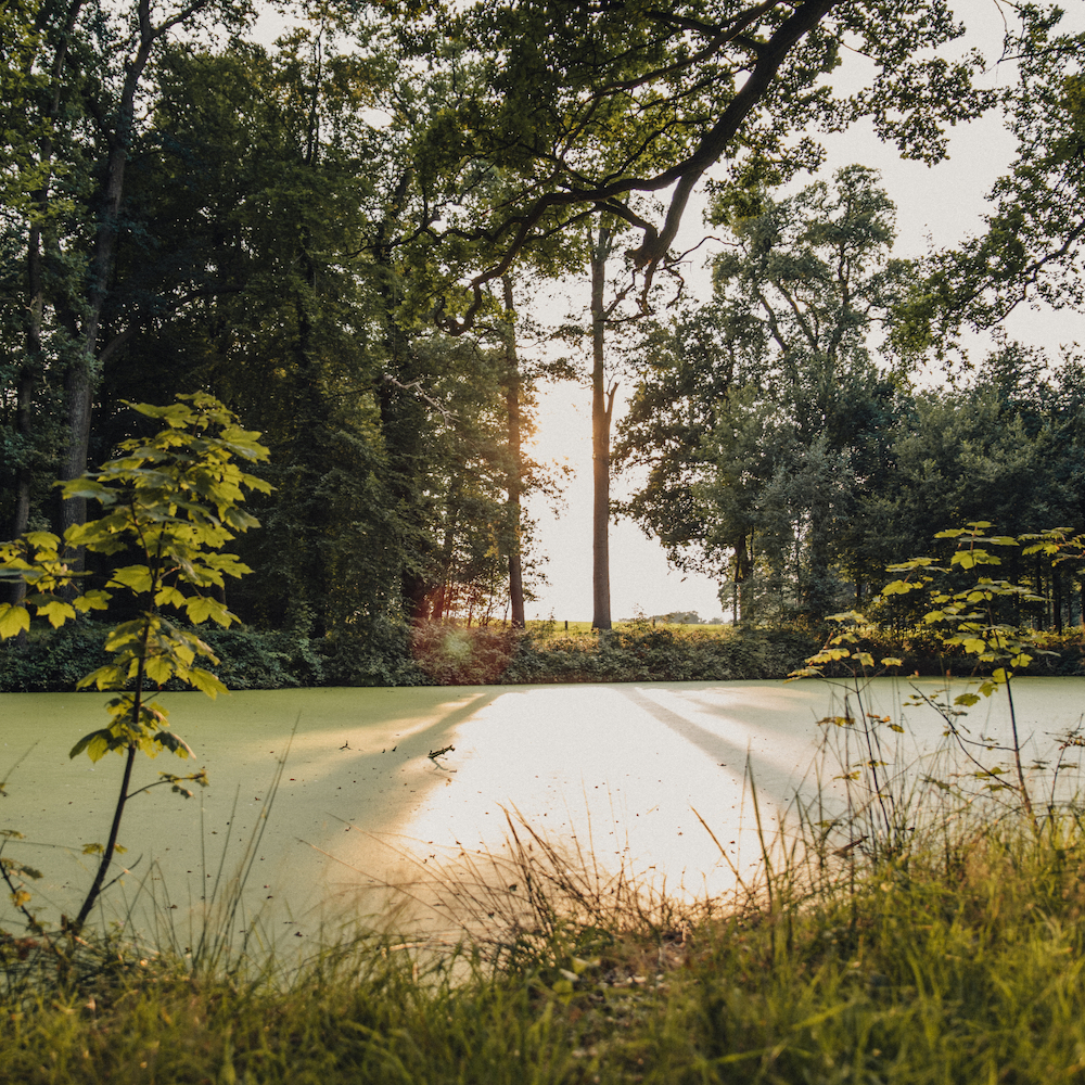 Wandelen in Twente