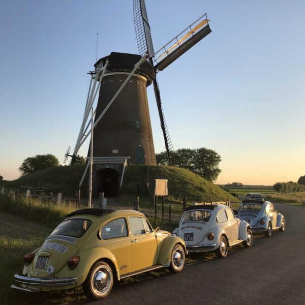 Kevers op een rijtje voor een molen