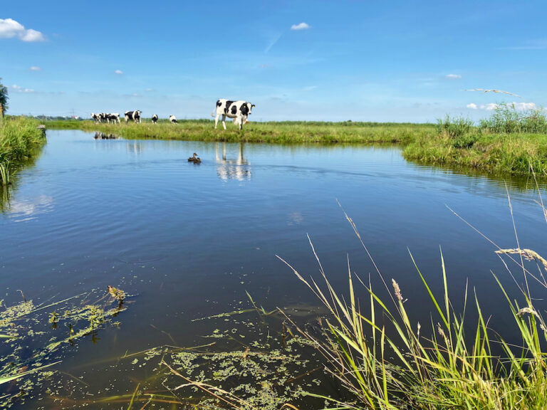 Laag Holland de groene achtertuin van Amsterdam Bijzonder Plekje