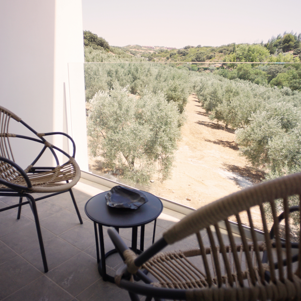 Boutique hotel aan de rand van de olijfbomen gaard