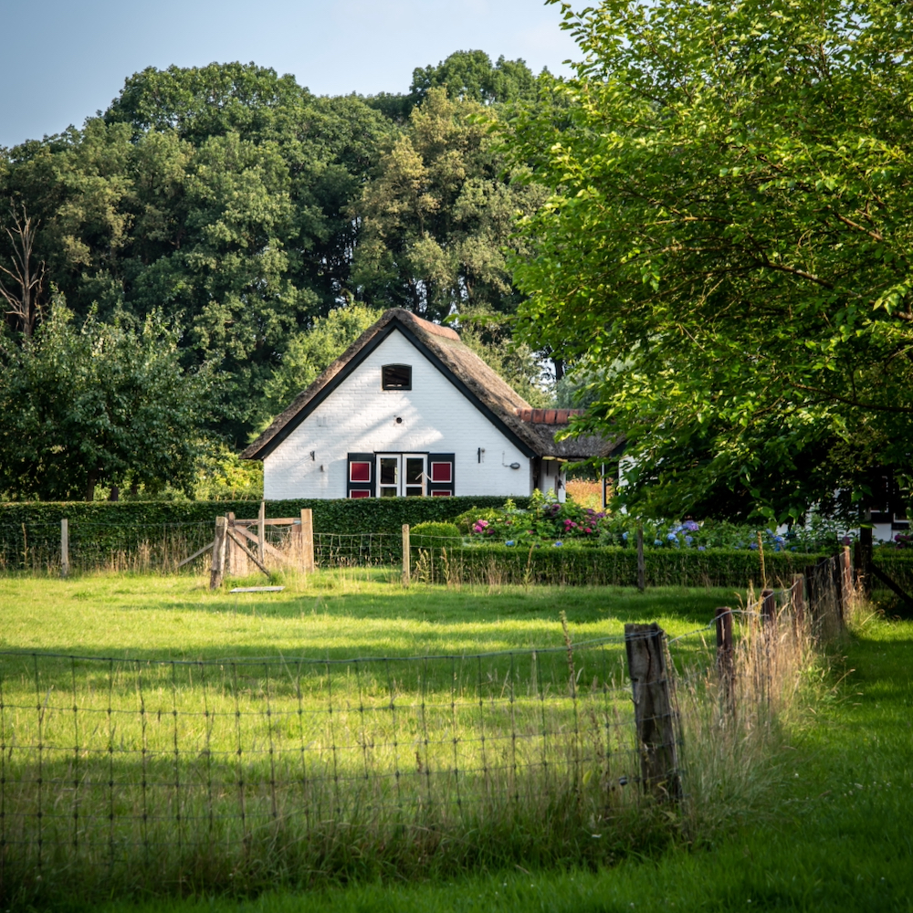 Rietgedekt wit vakantiehuisje omringd door bos