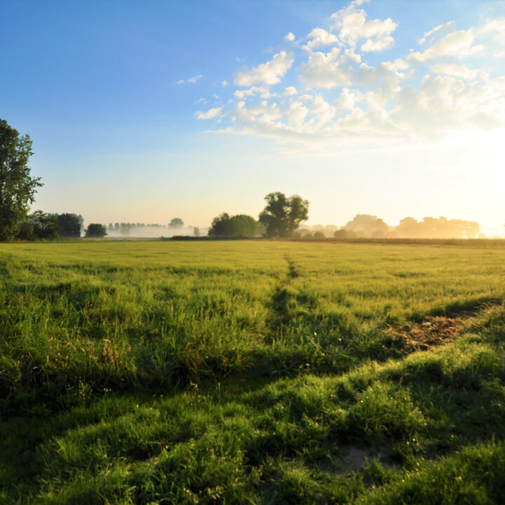 Uitzicht over het Brabantse land