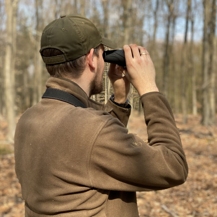 Wild speuren tijdens een excursie door de Veluwe