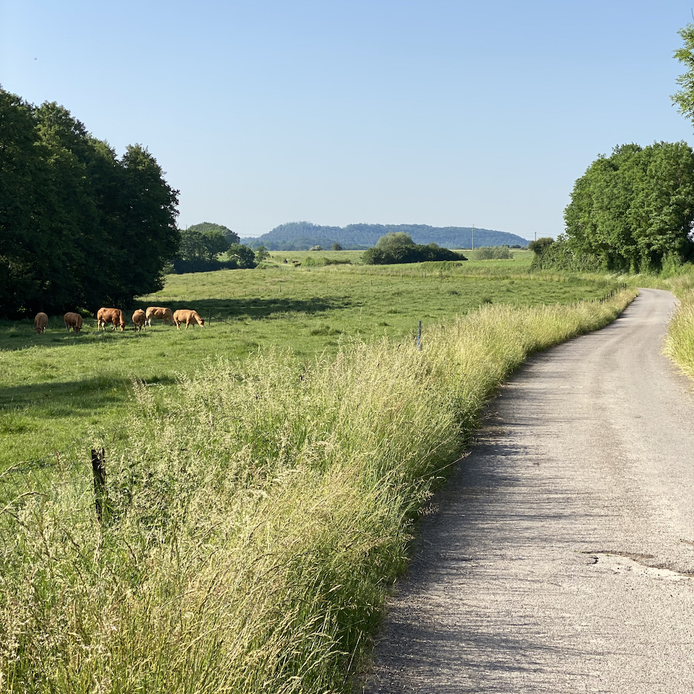 Landweg door de heuvels in Luxemburg