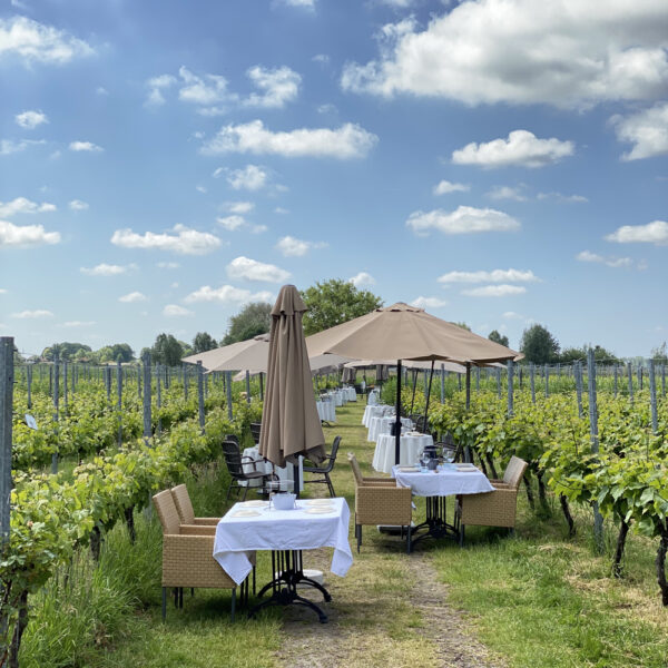 Gedekte tafels in de wijngaard