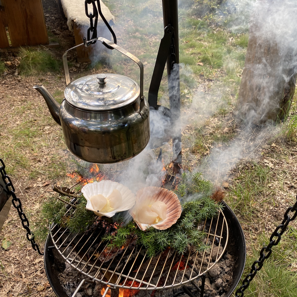 Coquilles op het vuur in Zweden