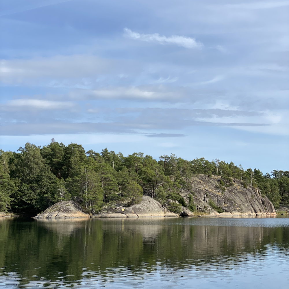 Eagle seal safari in Zweden