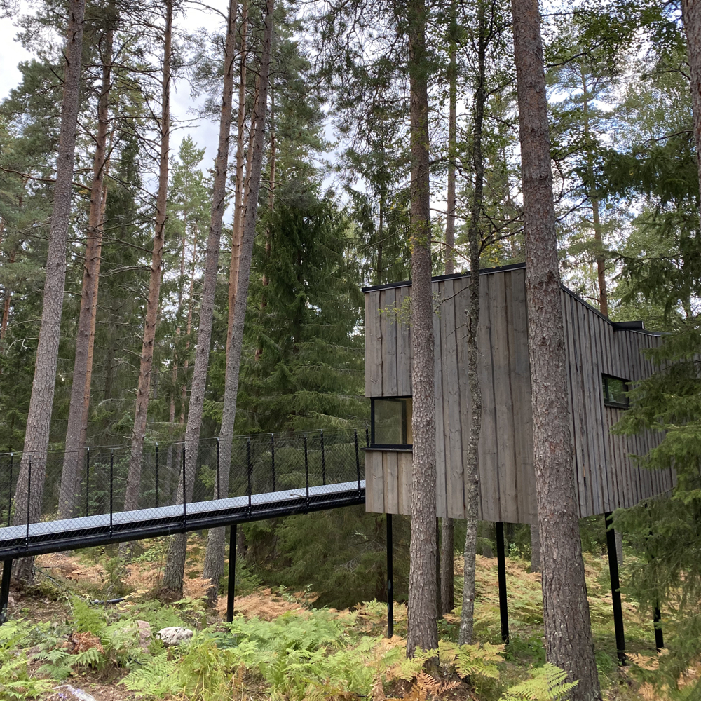 Slapen tussen de bomen in Zweden