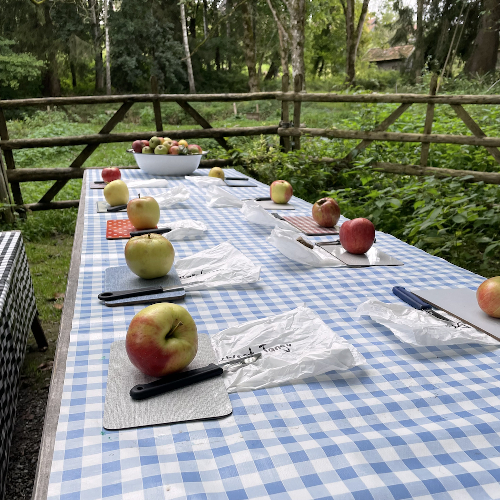 Appels met een schilmesje op tafel