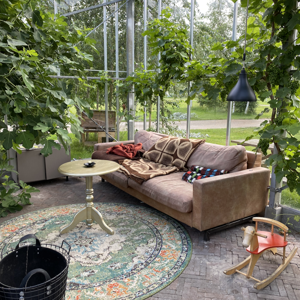 Een bezoekje aan een kas tijdens je vakantie in Noord-Holland