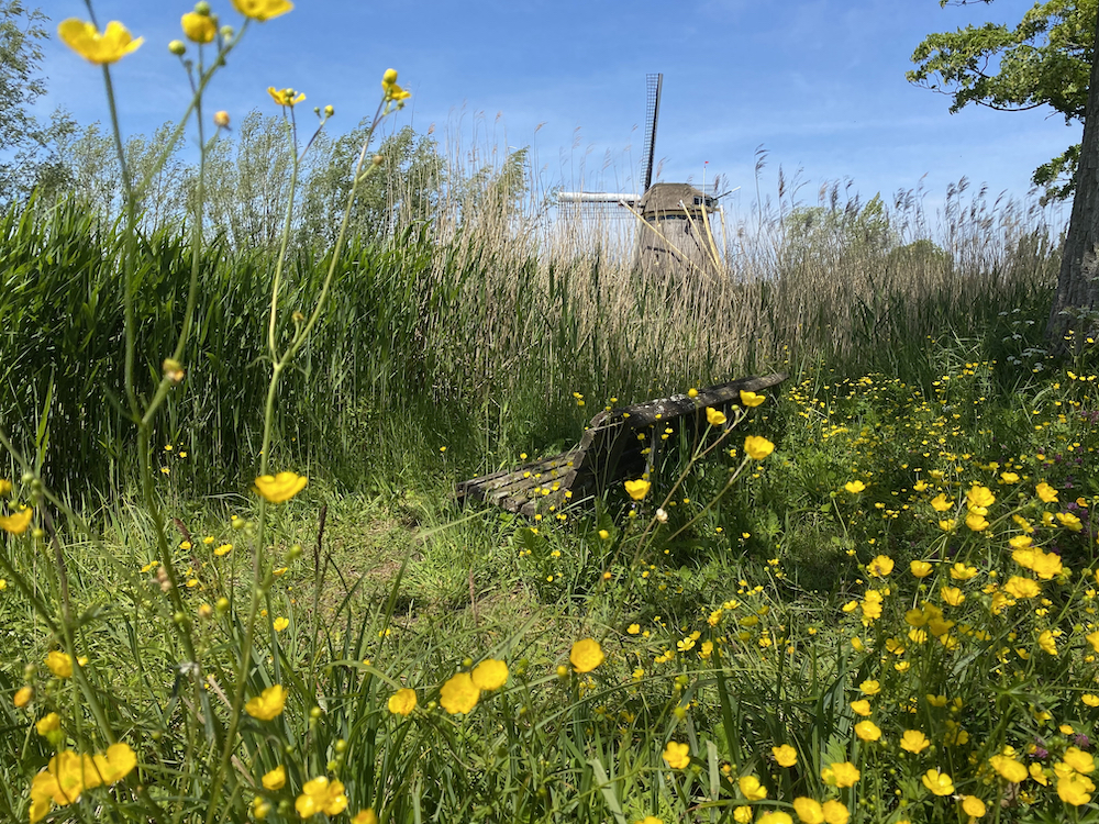 De molen bij Het Gein